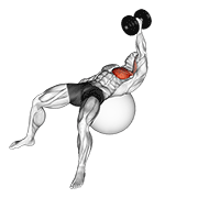 Dumbbell One Arm Fly On Exercise Ball demonstration animation