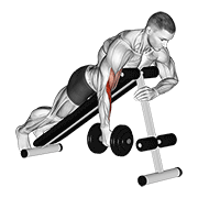 Dumbbell One Arm Prone Hammer Curl demonstration animation