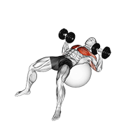 Dumbbell Press On Exercise Ball demonstration animation
