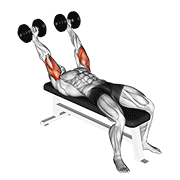 Dumbbell Pronate Grip Triceps Extension demonstration animation
