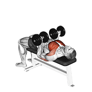 Dumbbell Reverse Bench Press demonstration animation