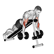 Dumbbell Reverse Spider Curl demonstration animation