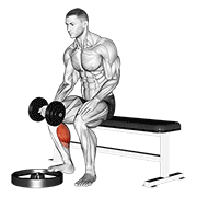 Dumbbell Seated One Leg Calf Raise Palm Up demonstration animation