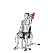 Dumbbell Seated Reverse Grip One Arm Overhead Tricep Extension demonstration animation