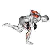 Dumbbell Tricep Kickback With Stork Stance demonstration animation