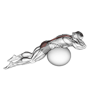Exercise Ball Back Extension With Hands Behind Head demonstration animation