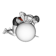 Exercise Ball Lat Stretch demonstration animation