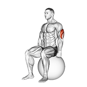 Exercise Ball Seated Triceps Stretch demonstration animation