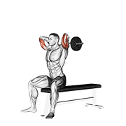 Ez Barbell Seated Triceps Extension demonstration animation