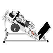 Hack One Leg Calf Raise demonstration animation