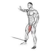 Hip Adduction demonstration animation