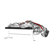 Hyperextension On Bench demonstration animation