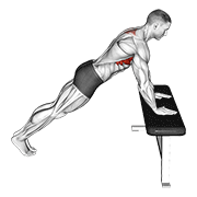 Incline Scapula Push Up demonstration animation