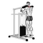 Lever Gripless Shrug V2 demonstration animation