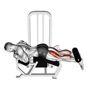 Lever Lying Leg Curl demonstration animation