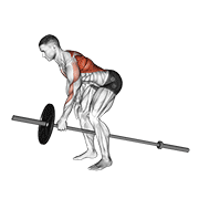 Lever One Arm Bent Over Row demonstration animation