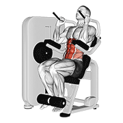 Lever Seated Crunch demonstration animation