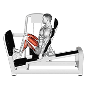 Lever Seated Squat Calf Raise On Leg Press Machine demonstration animation
