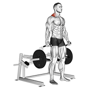 Lever Shrug demonstration animation