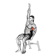 Lower Back Stretch demonstration animation