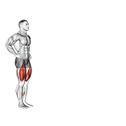Lunge demonstration animation