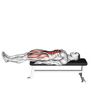 Lying Leg Raise Flat Bench demonstration animation