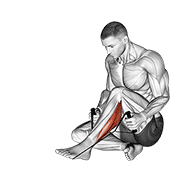 Peroneals Stretch demonstration animation