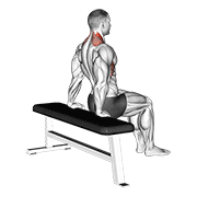 Scapula Dips demonstration animation
