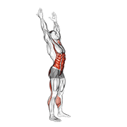 Side To Side Toe Touch demonstration animation