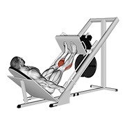 Sled 45 Calf Press demonstration animation