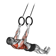 Suspended Row demonstration animation