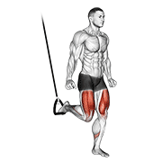 Suspended Split Squat demonstration animation