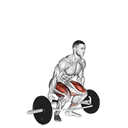Trap Bar Deadlift demonstration animation