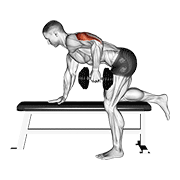 Tricep Kickback demonstration animation