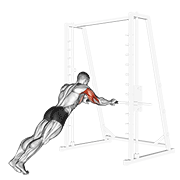 Triceps Press demonstration animation