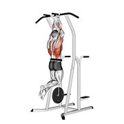 Weighted Close Grip Chin Up On Dip Cage demonstration animation