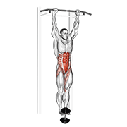 Weighted Hanging Leg Hip Raise demonstration animation