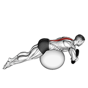 Weighted Hyperextension On Stability Ball demonstration animation