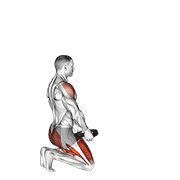 Weighted Kneeling Step With Swing demonstration animation