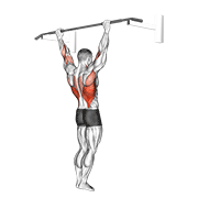 Wide Grip Pullup demonstration animation