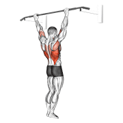 Wide Grip Rear Pull Up demonstration animation